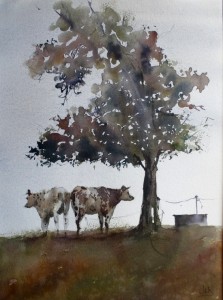 Les deux vaches                    